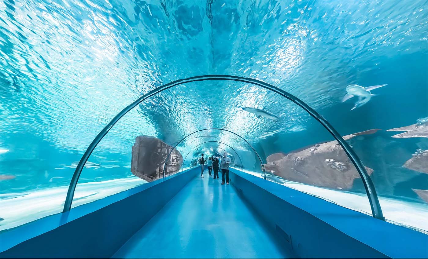 Antalya aquarium tour